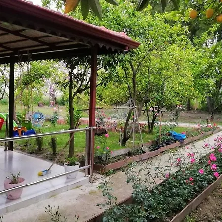 Beyazit Holiday home *