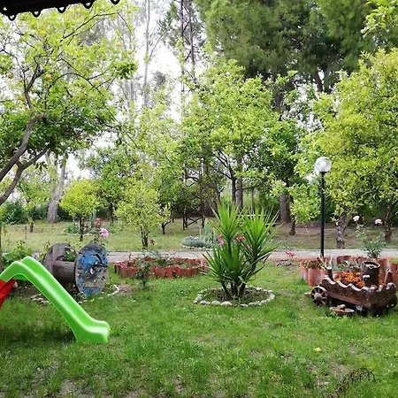 Beyazit Side