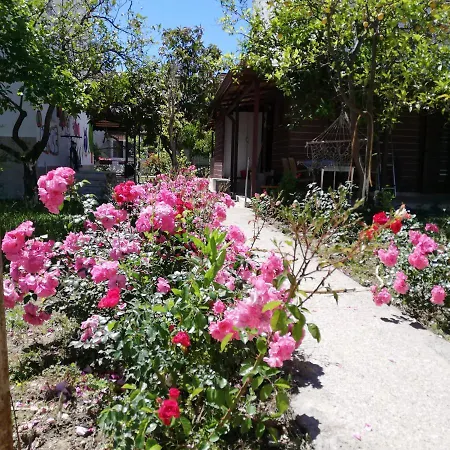 Beyazit Case de vacanță